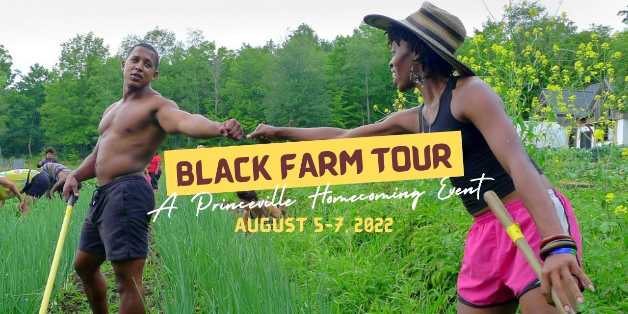 Black Farm Tour