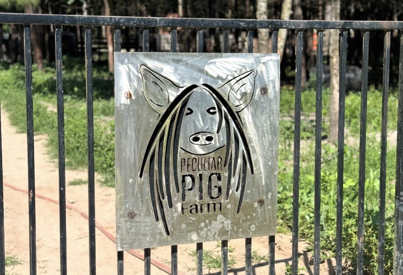 Peculiar Pig Farm sign