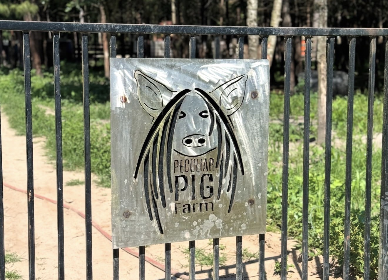 Peculiar Pig Farm sign